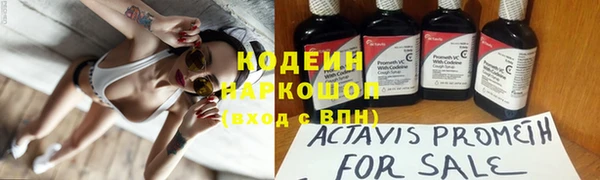 амф Арсеньев