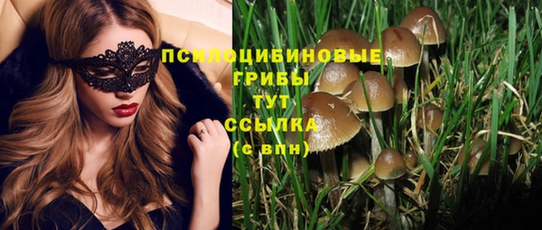 мяу мяу мука Аркадак
