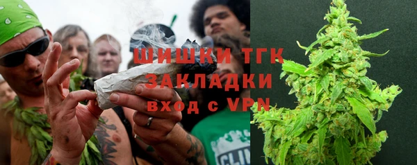 амф Арсеньев